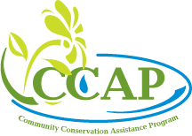 CCAP Logo